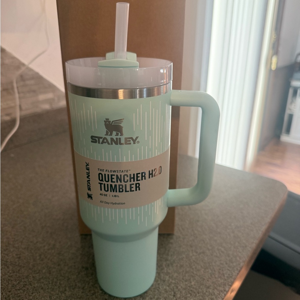 Stanley mint  Green Quencher Tumbler